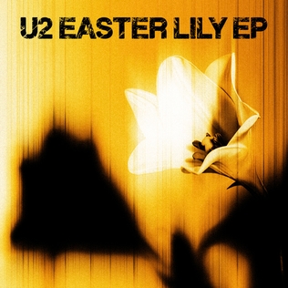 Release cover